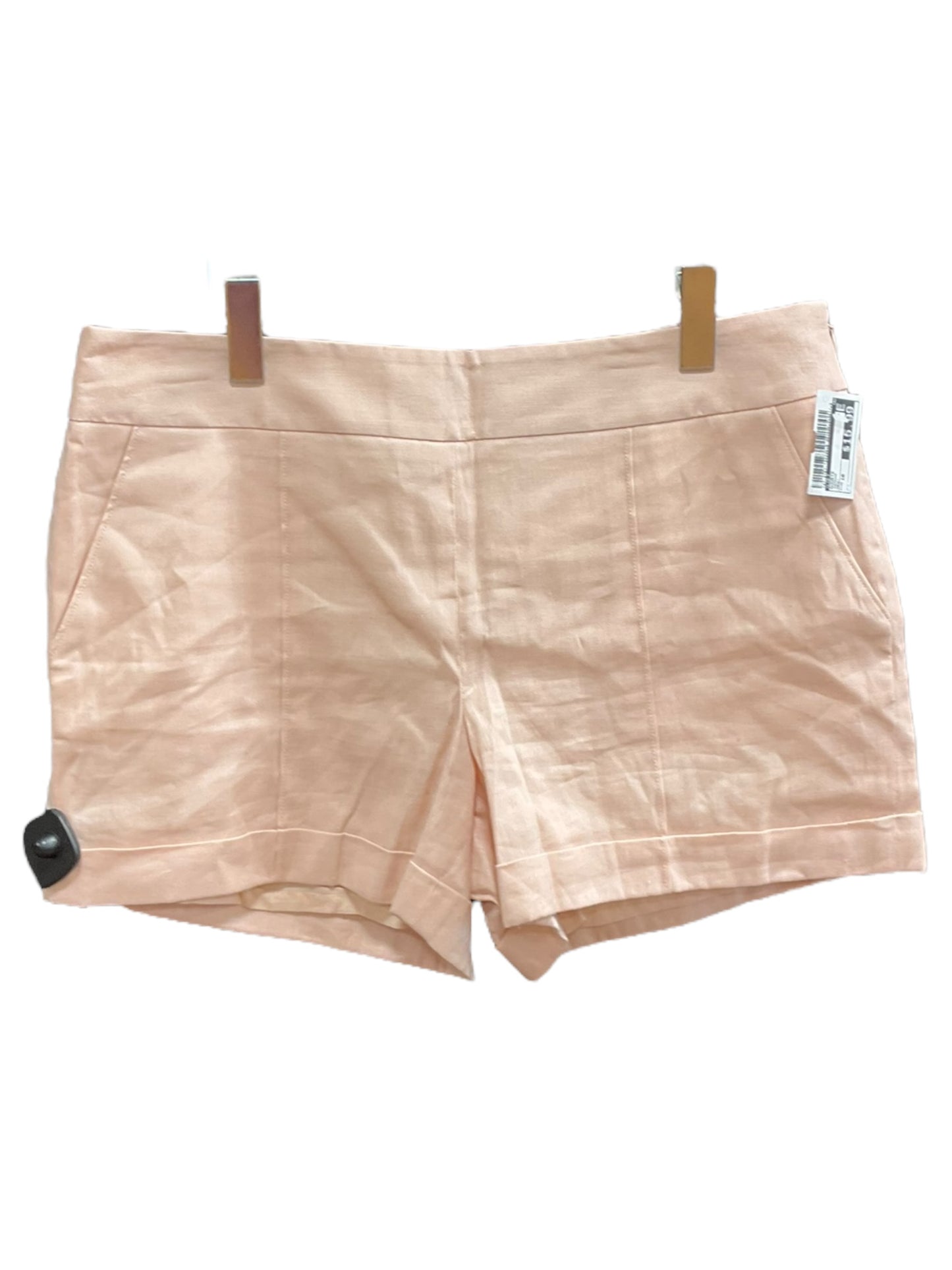Shorts By Loft Size: 10