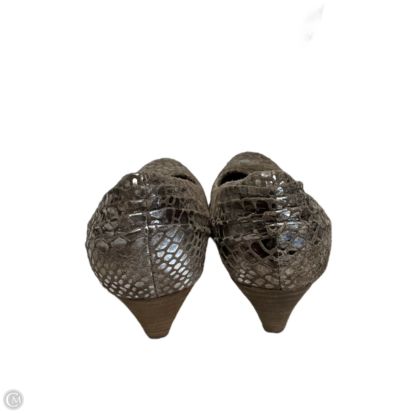 Shoes Heels Wedge By Seychelles In Snakeskin Print, Size: 7