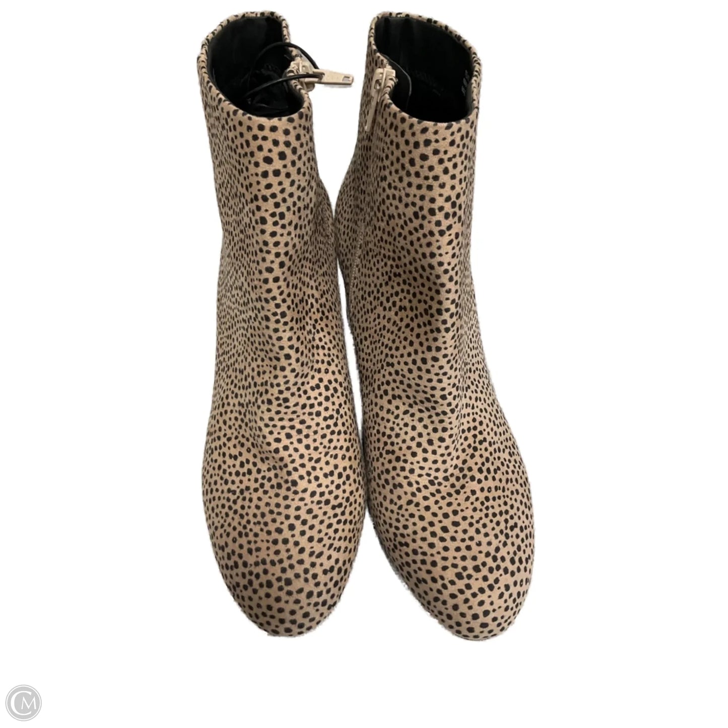 Boots Ankle Heels By Loft In Leopard Print, Size: 10