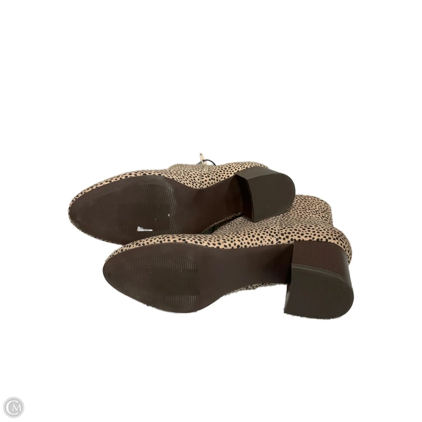 Boots Ankle Heels By Loft In Leopard Print, Size: 10
