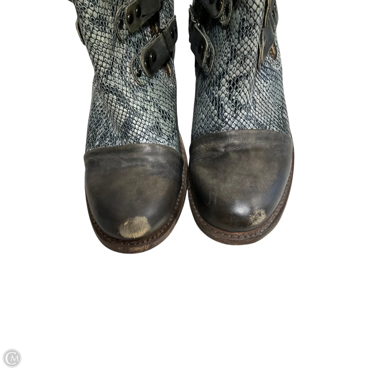 Boots Ankle Heels By Freebird In Snakeskin Print, Size: 10