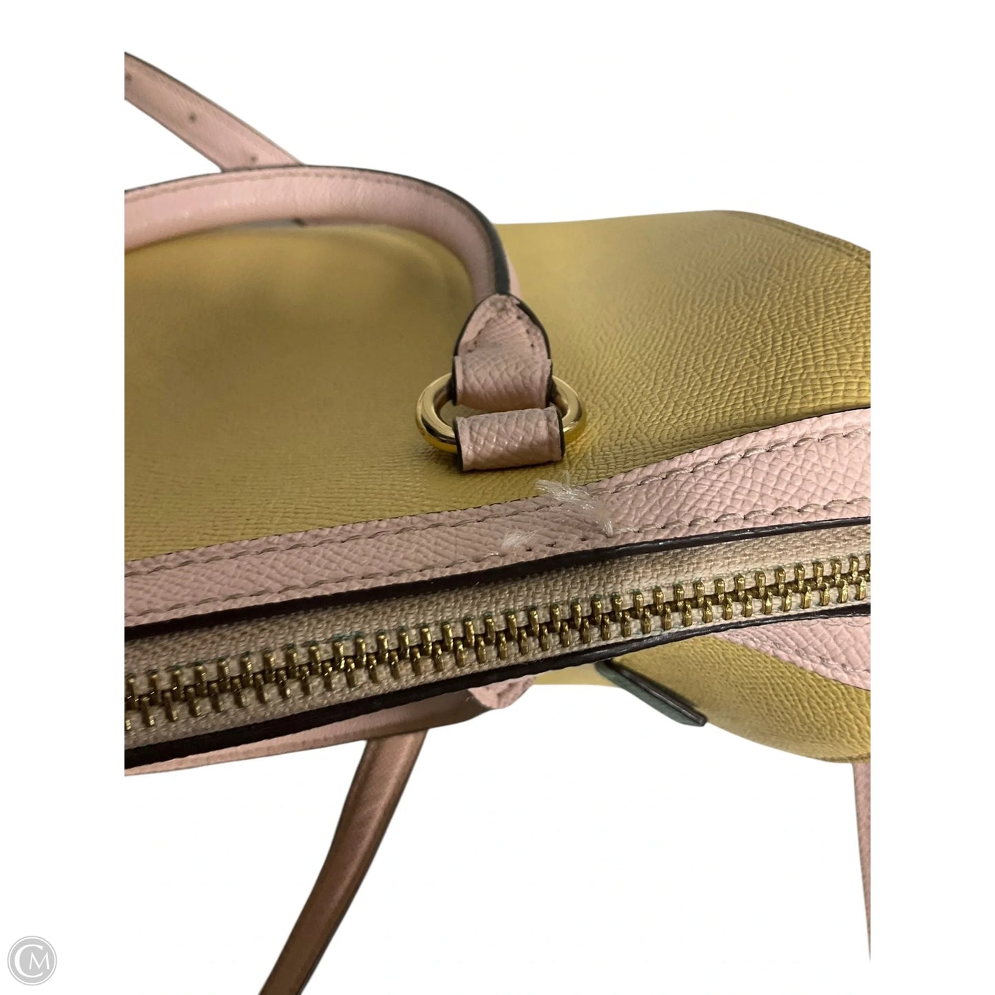 Crossbody Designer By Coach, Size: Large