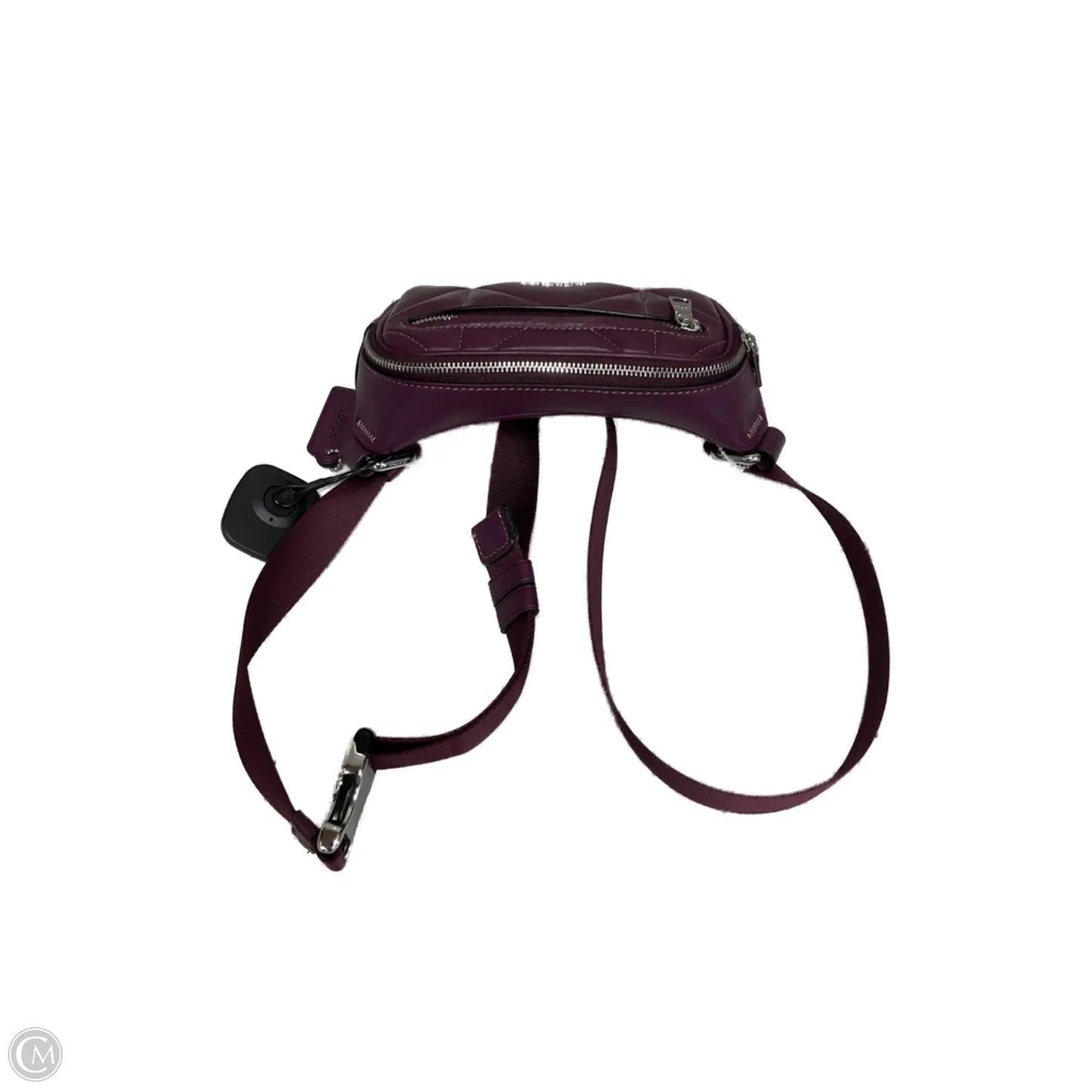 Belt Bag Designer By Coach, Size: Small