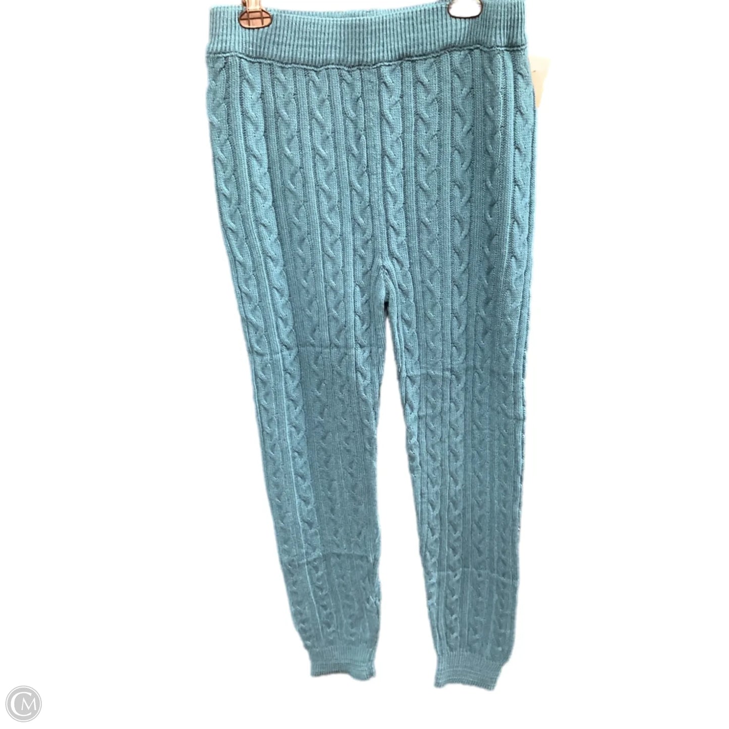 Pants Set 2pc By Love In Aqua, Size: 1x