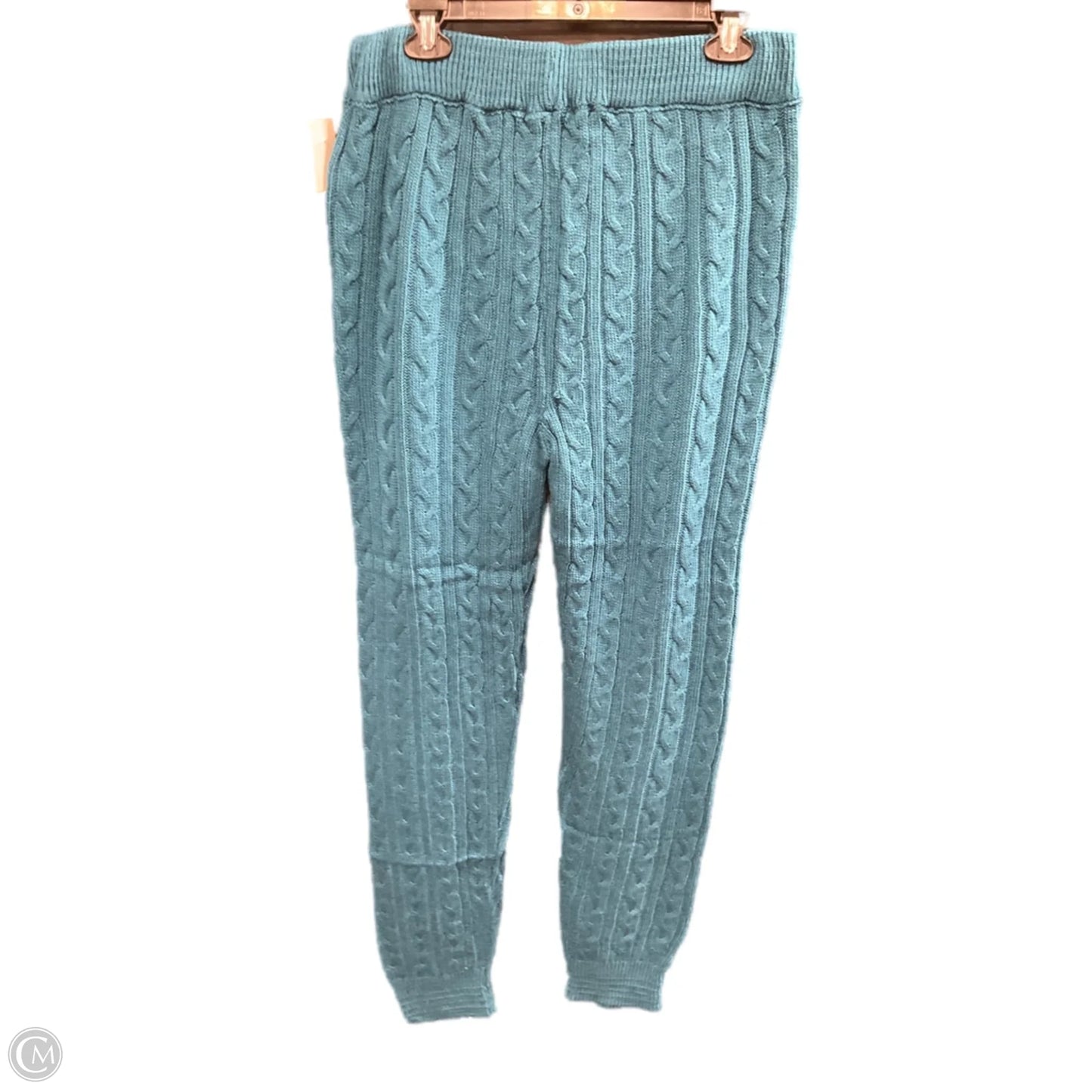 Pants Set 2pc By Love In Aqua, Size: 1x