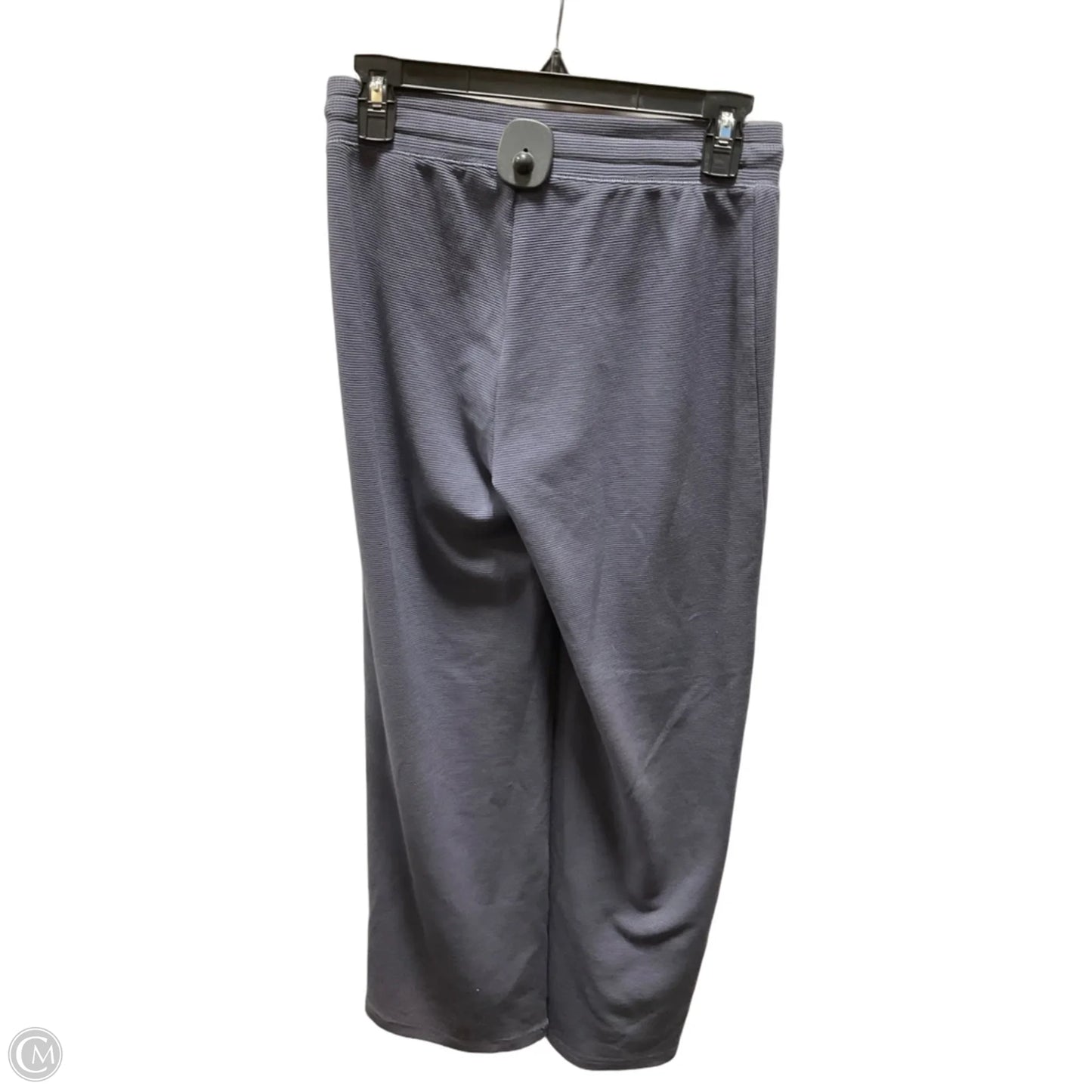 Pants Lounge By Tna In Blue, Size: 4