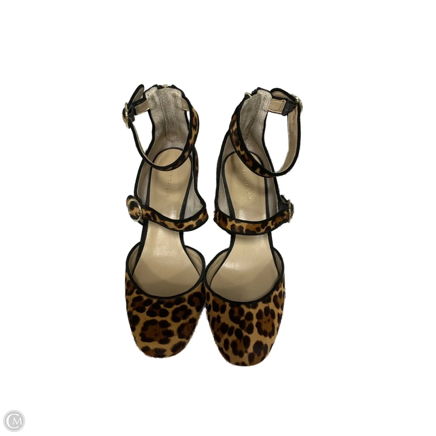 Shoes Heels Block By Ann Taylor In Animal Print, Size: 7.5