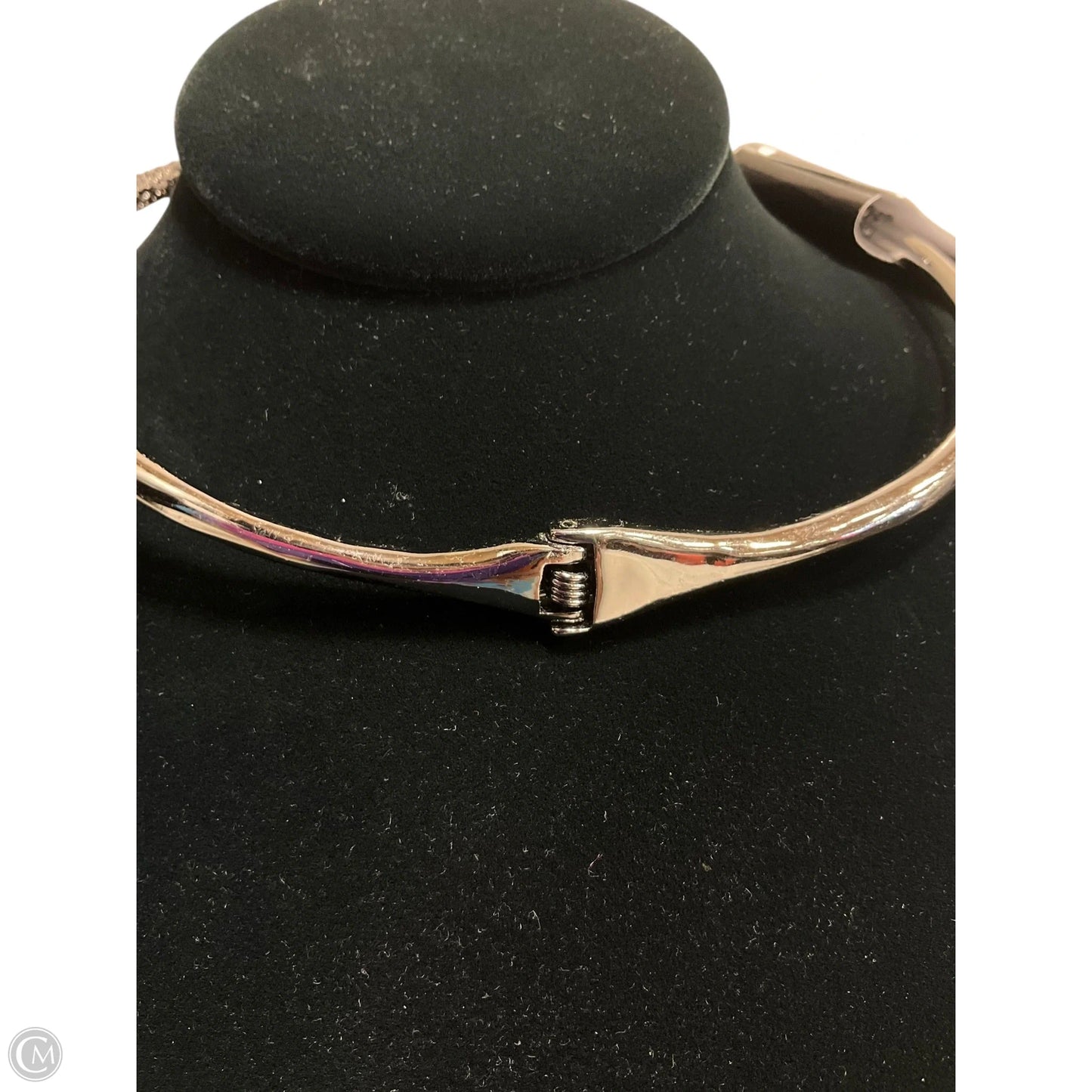 Necklace Choker & Collar By Betsey Johnson
