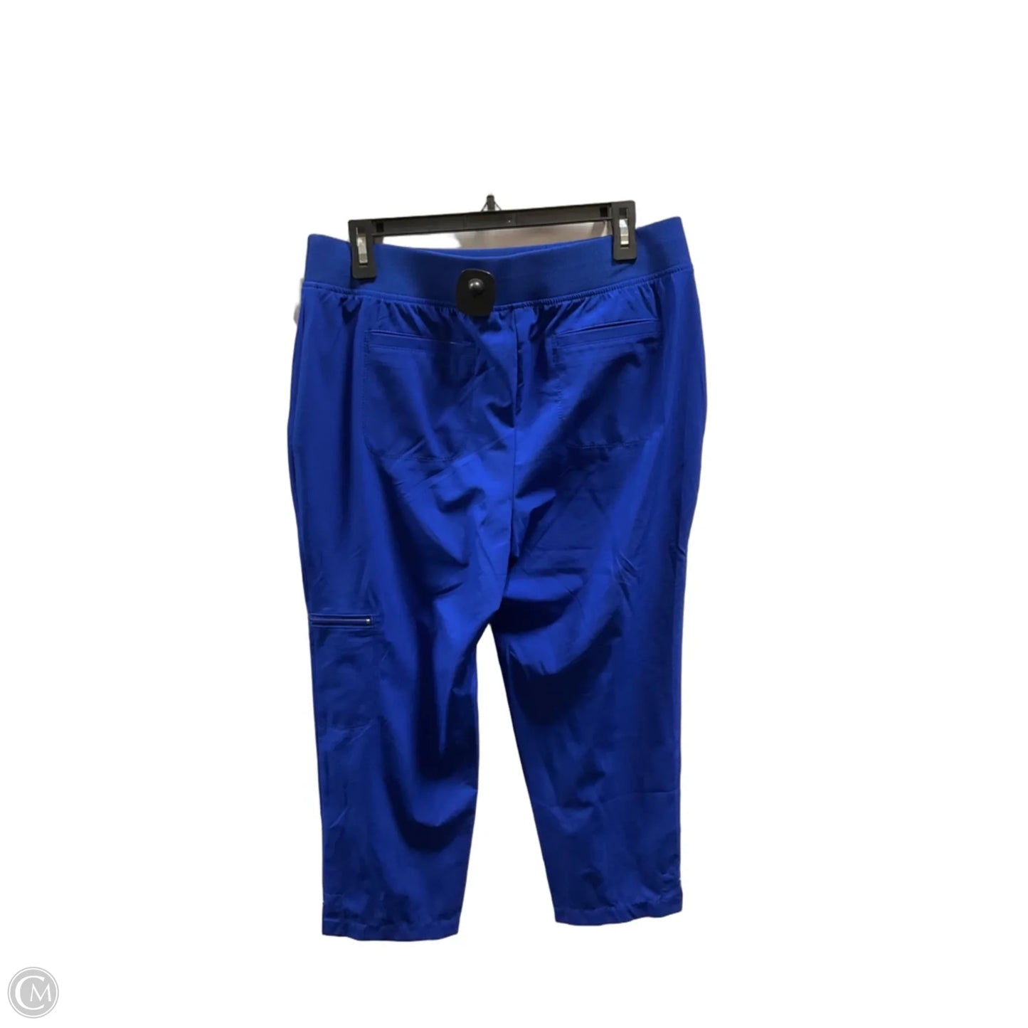 Athletic Capris By Zenergy By Chicos In Blue, Size: L