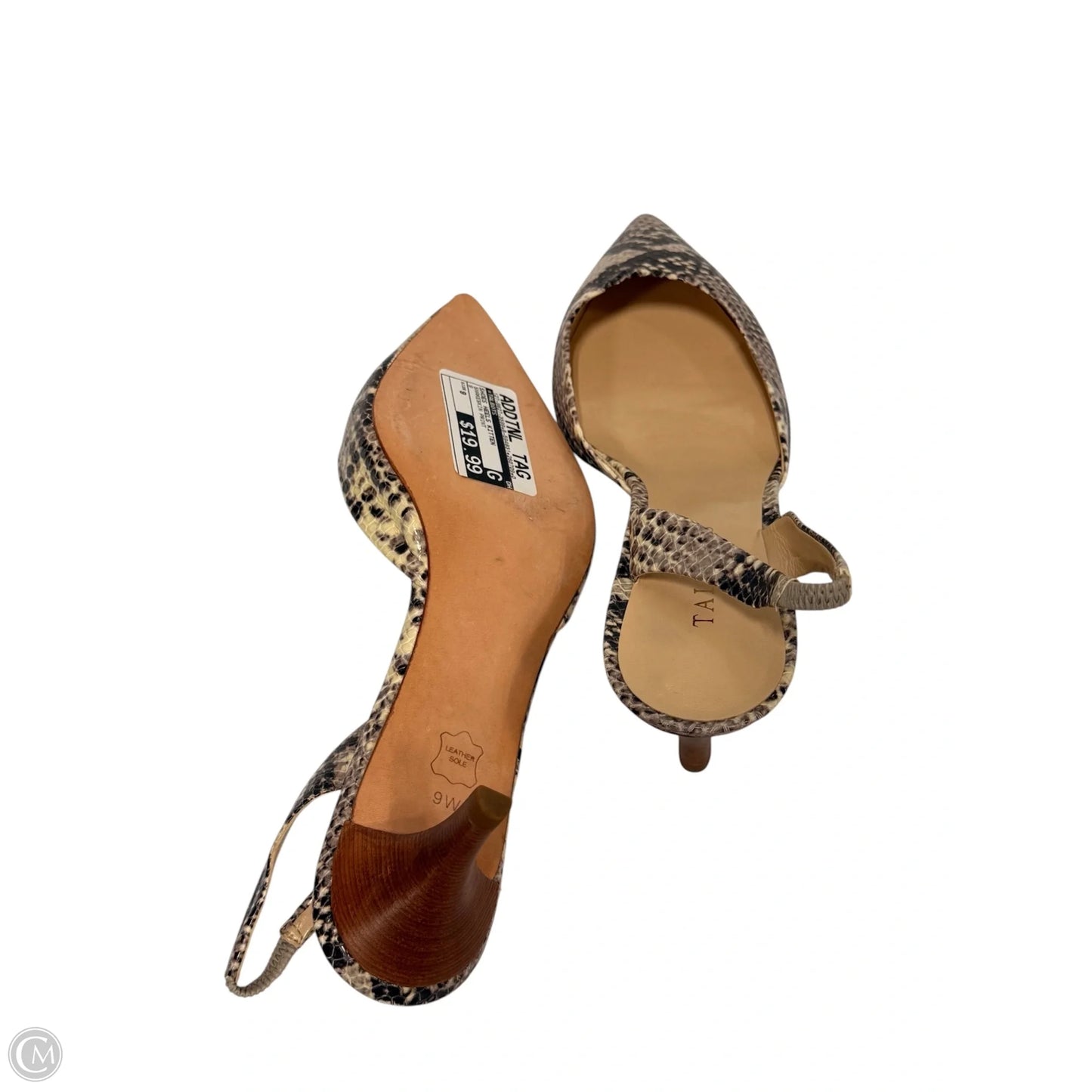 Shoes Heels Kitten By Talbots In Snakeskin Print, Size: 9