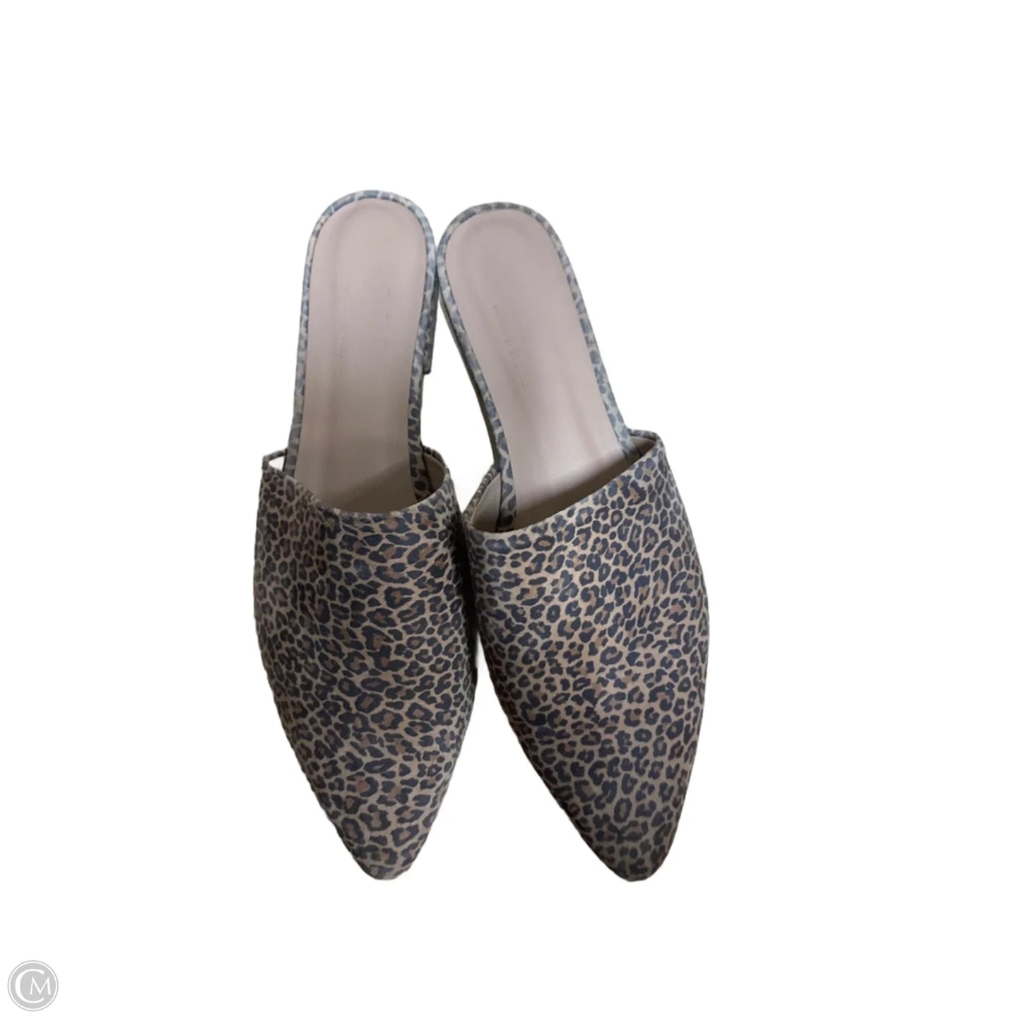 Shoes Flats By Able In Animal Print, Size: 9.5