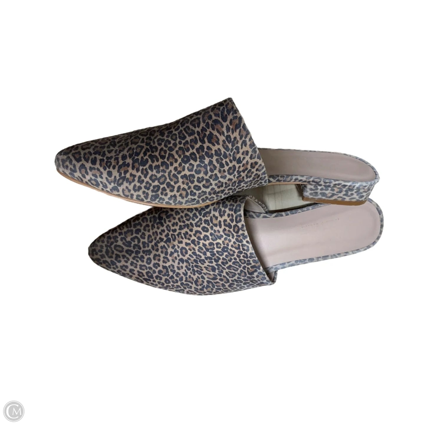 Shoes Flats By Able In Animal Print, Size: 9.5