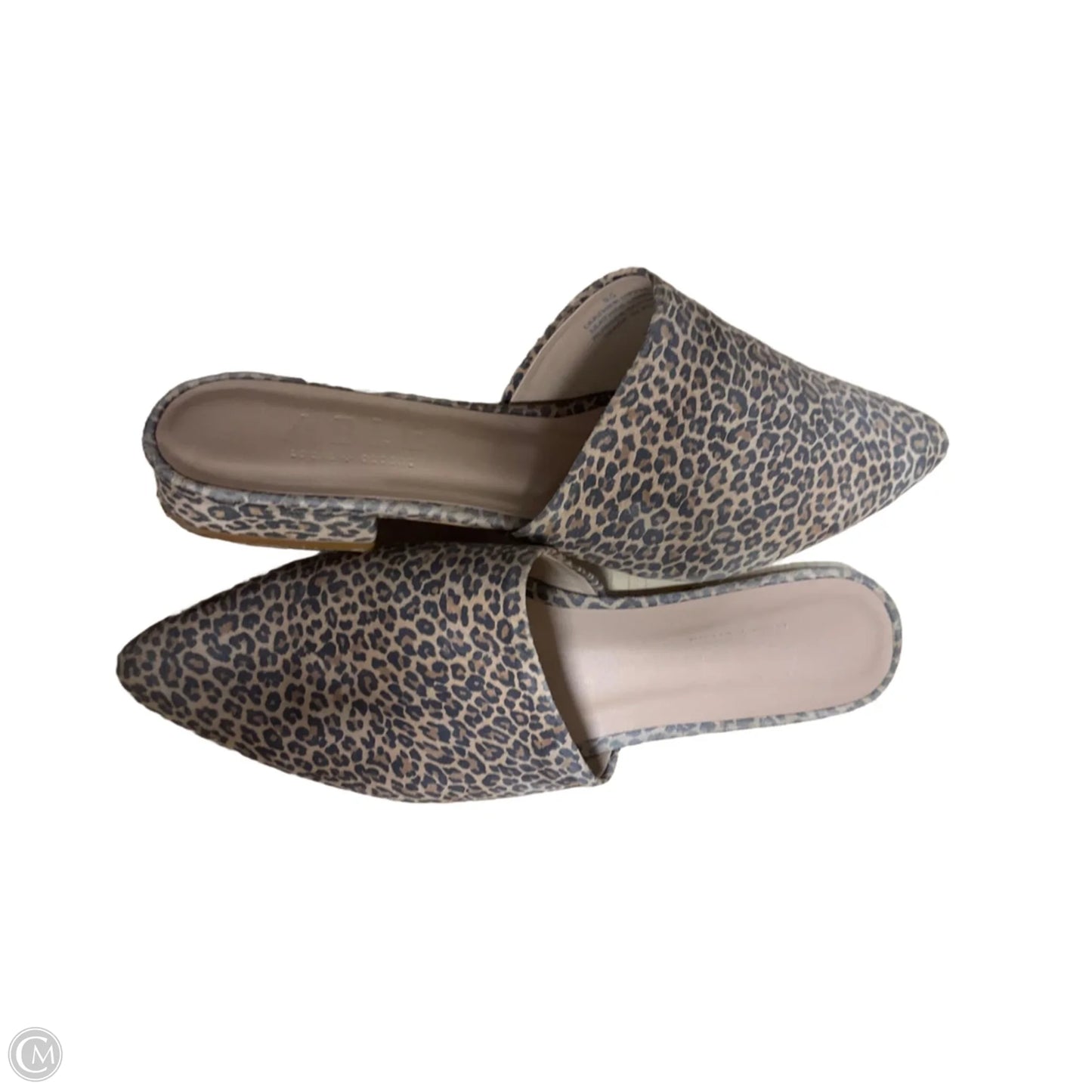 Shoes Flats By Able In Animal Print, Size: 9.5
