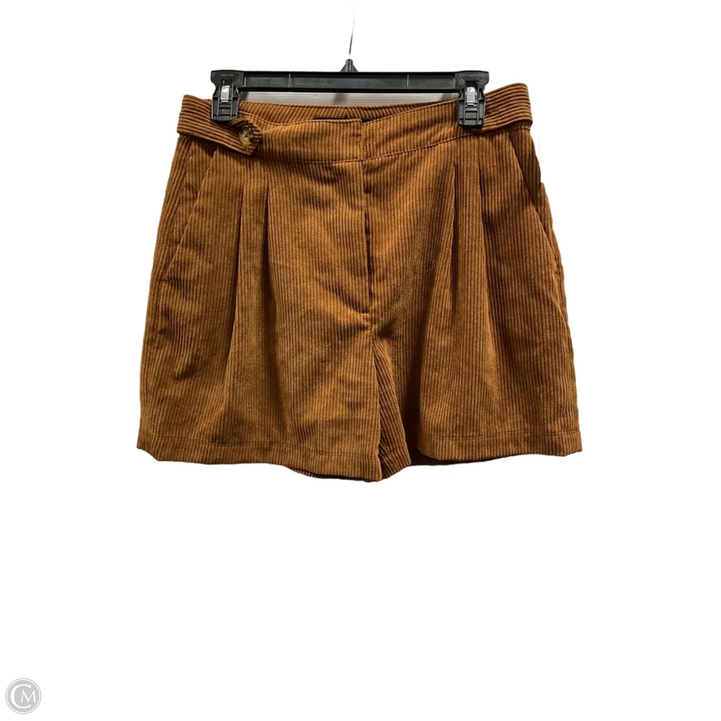 Shorts By Zara Basic In Brown, Size: M