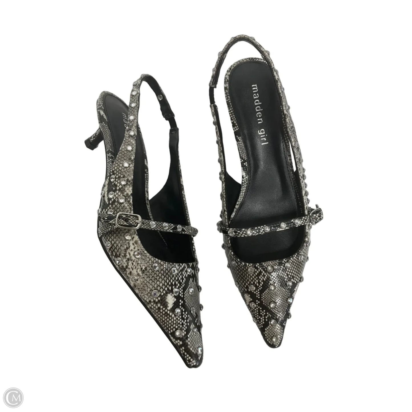 Shoes Heels Kitten By Madden Girl In Animal Print, Size: 6