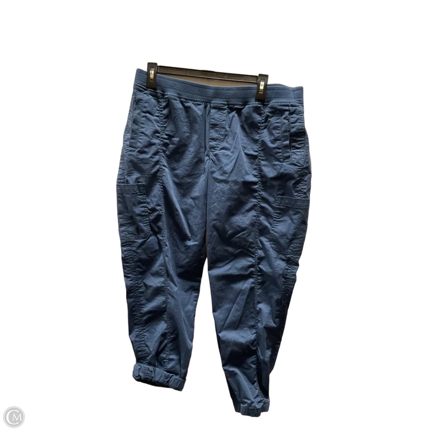 Pants Cargo & Utility By Eddie Bauer In Blue, Size: 14