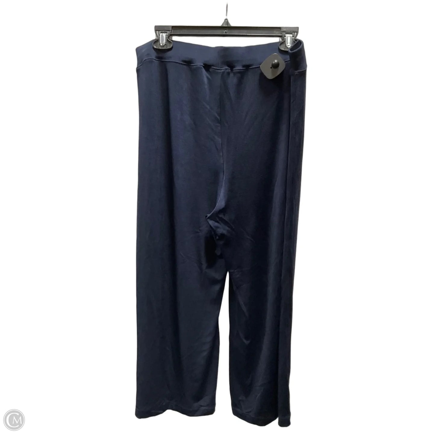 Pants Other By Chicos In Blue, Size: L