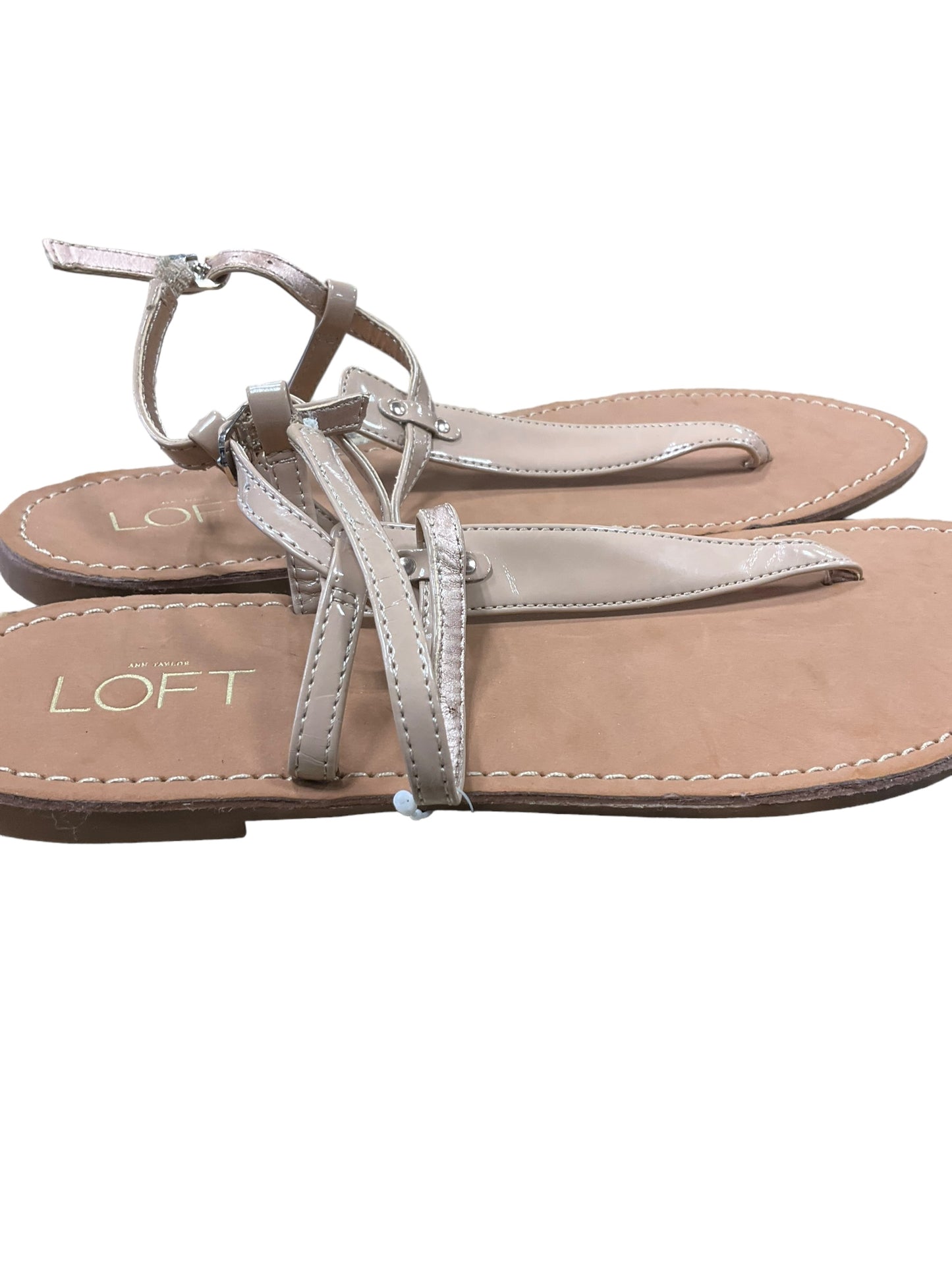 Beige Sandals Flip Flops Loft, Size 6