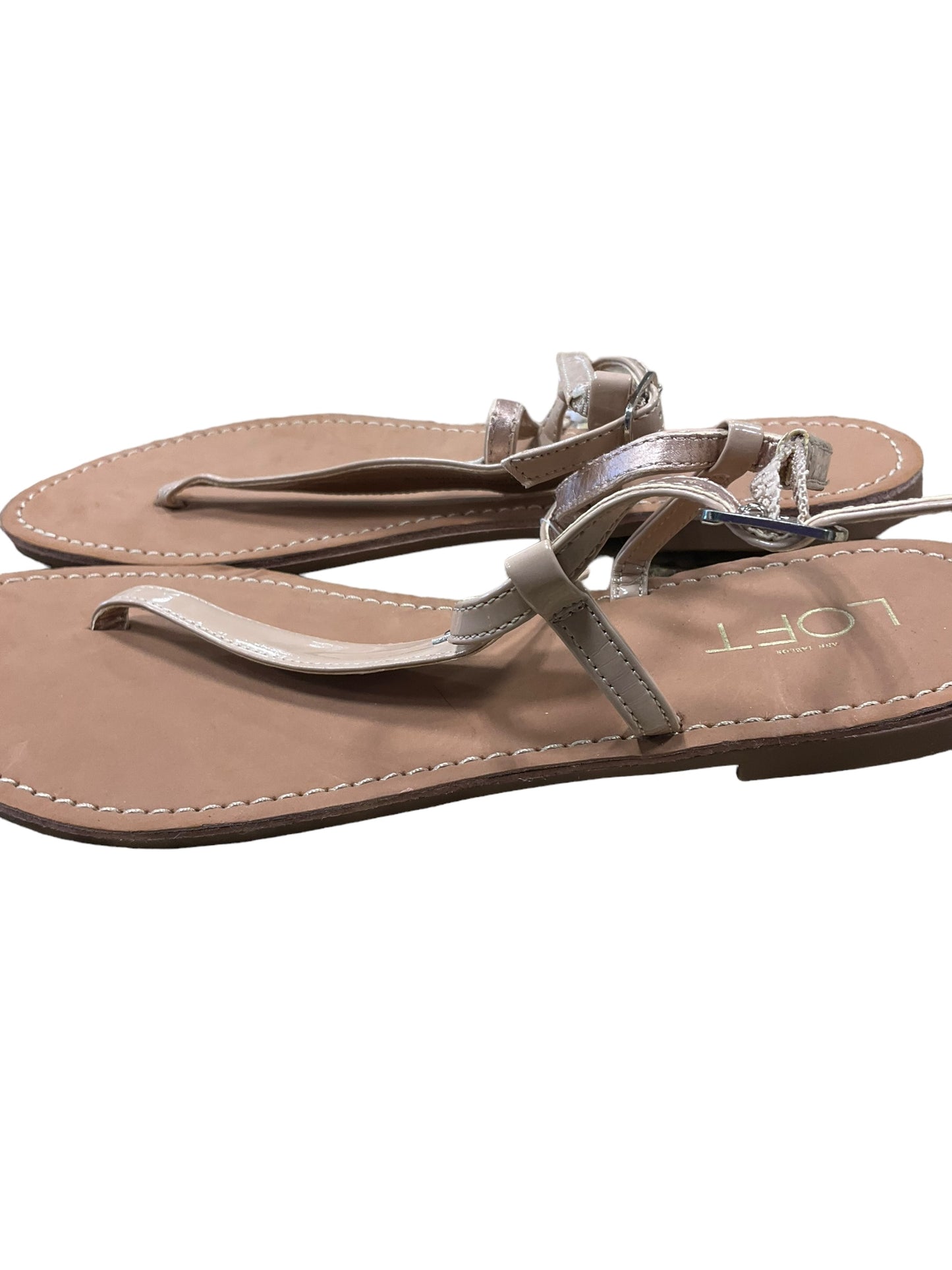 Beige Sandals Flip Flops Loft, Size 6