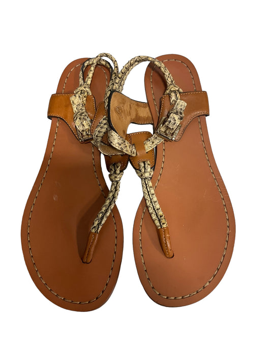 Snakeskin Print Sandals Designer Coach, Size 6
