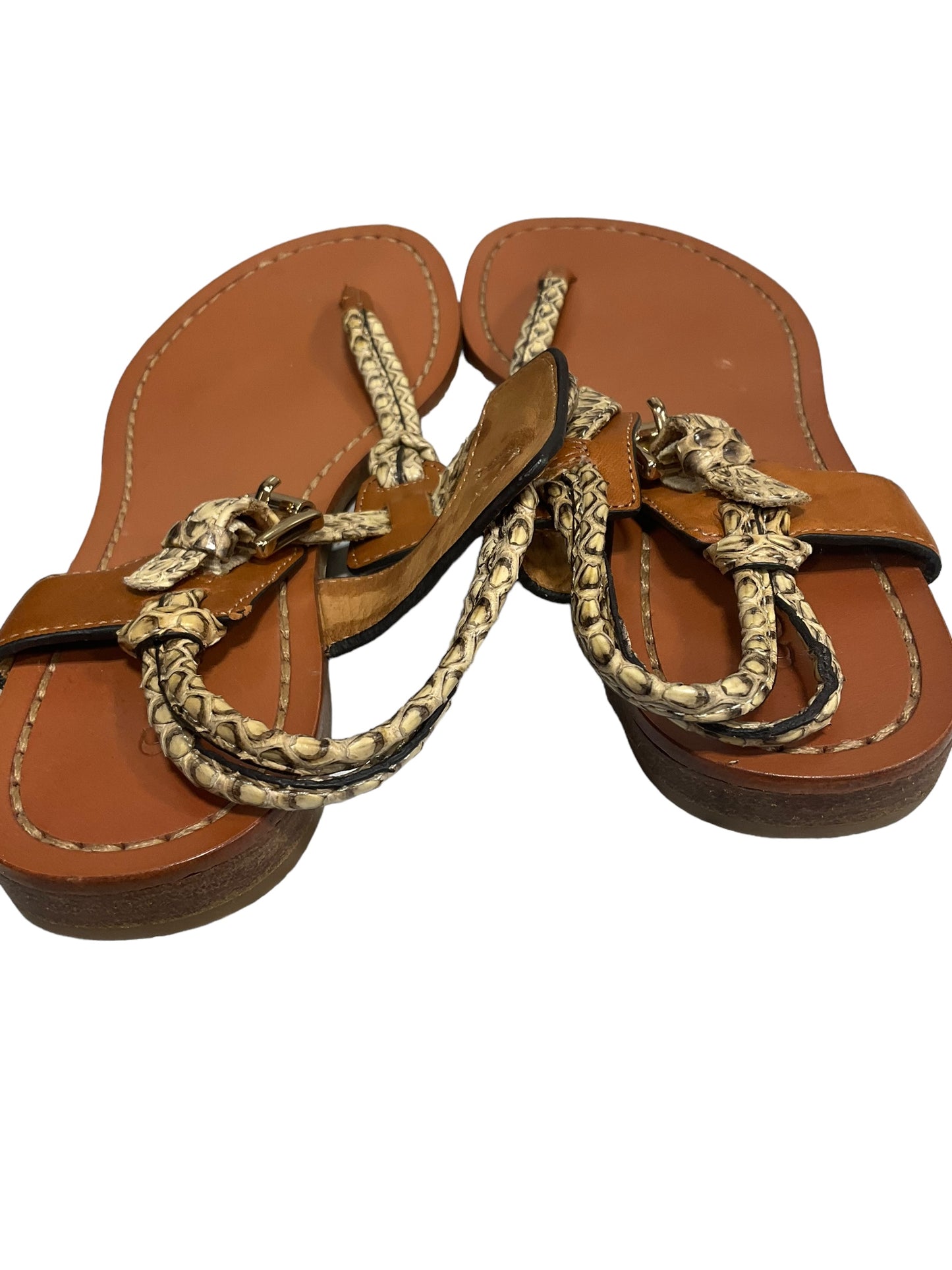 Snakeskin Print Sandals Designer Coach, Size 6