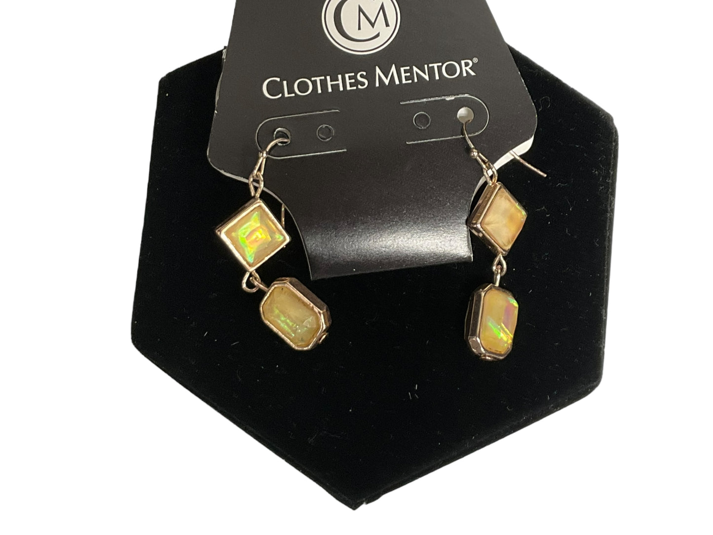 Earrings Dangle/drop Clothes Mentor