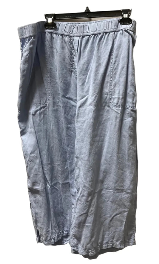Pants Other By Pure Jill In Blue, Size: 3x