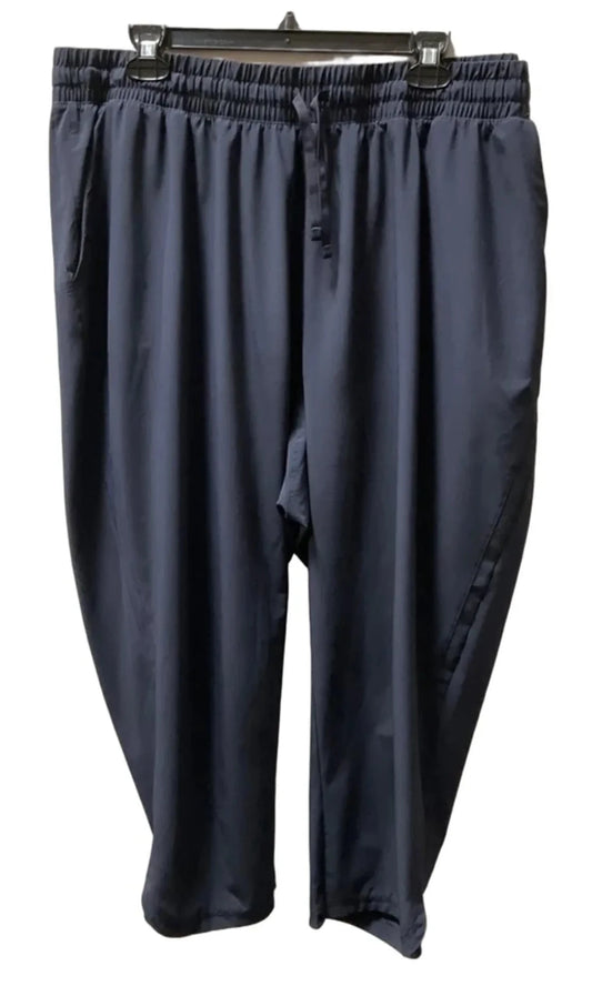 Athletic Pants By Talbots In Blue & Brown, Size: 2x