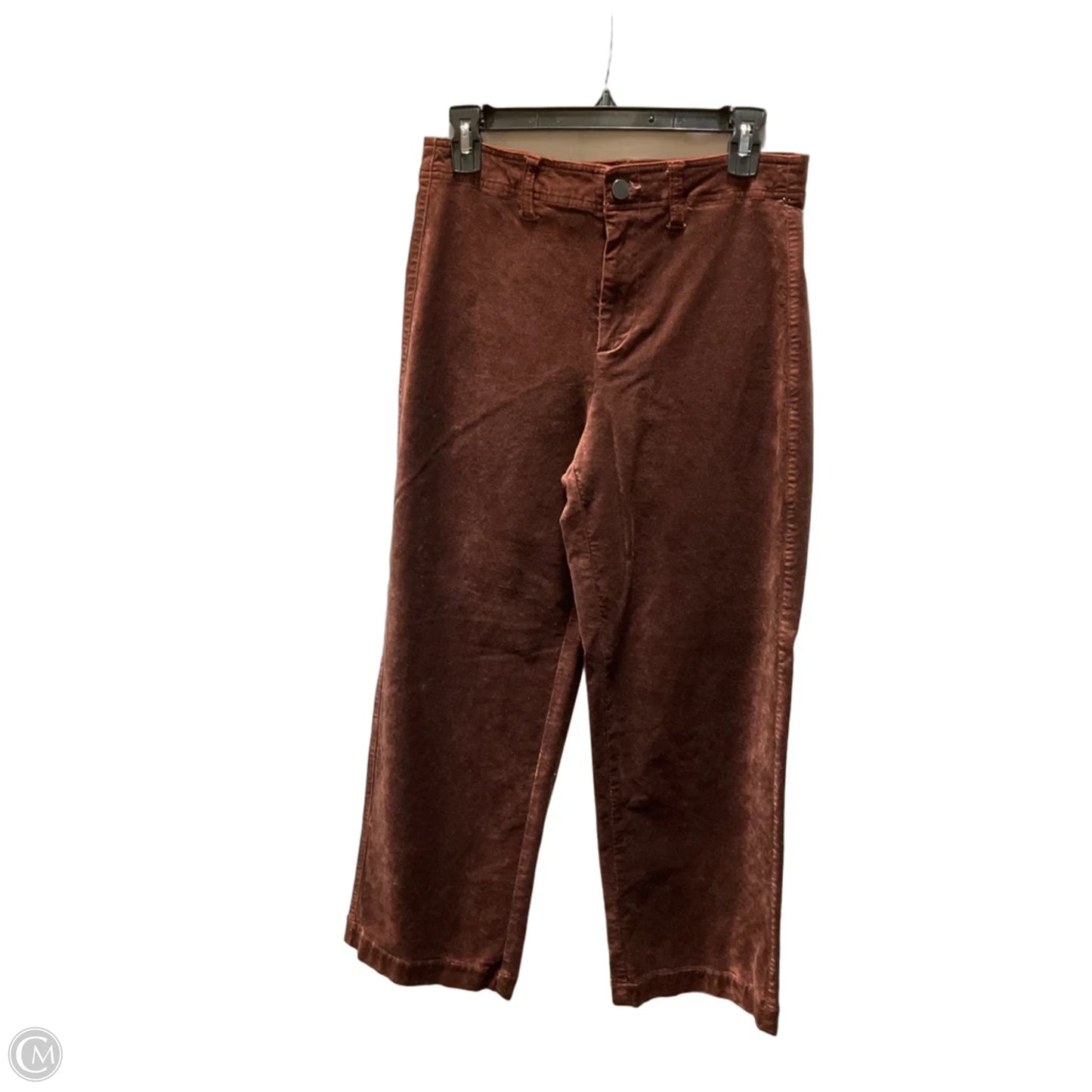 Pants Other By Paige In Bronze, Size: 6