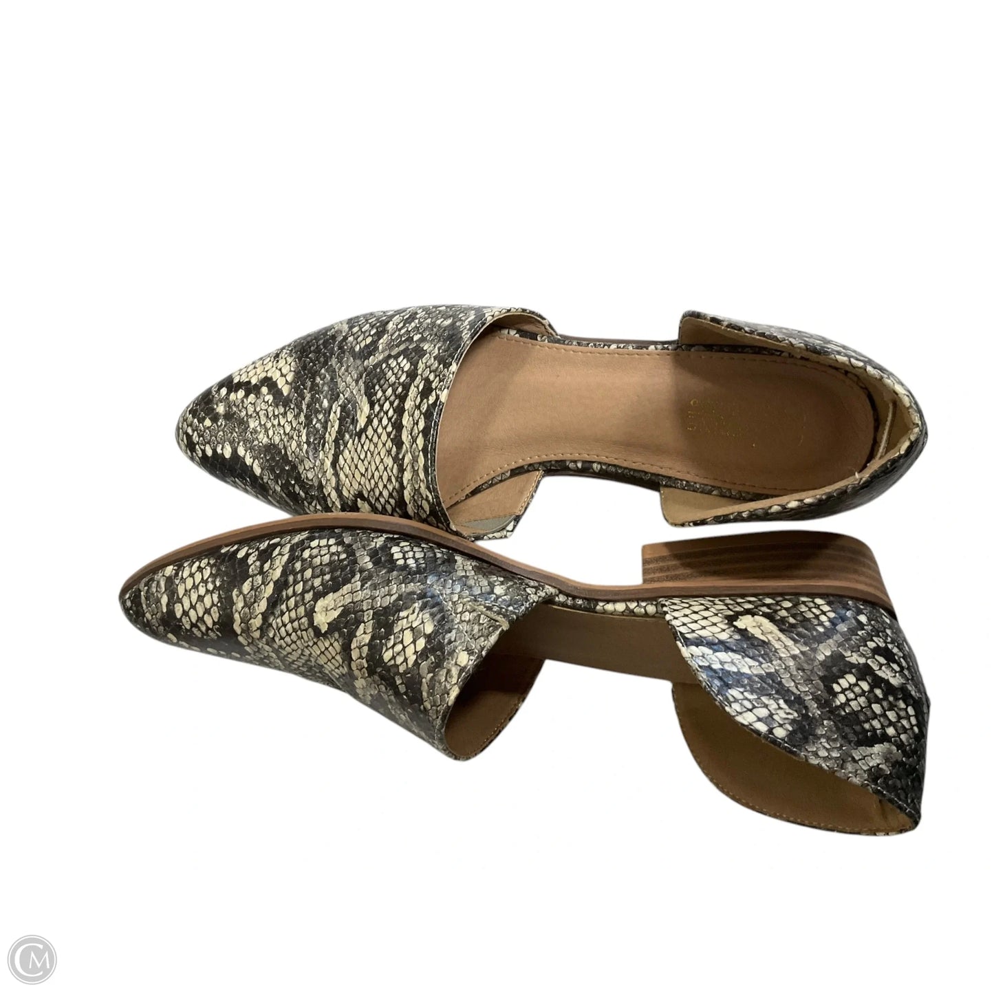 Shoes Flats By Catherine Malandrino In Snakeskin Print, Size: 10