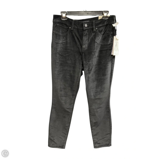 Pants Leggings By Not Your Daughters Jeans In Black, Size: 10