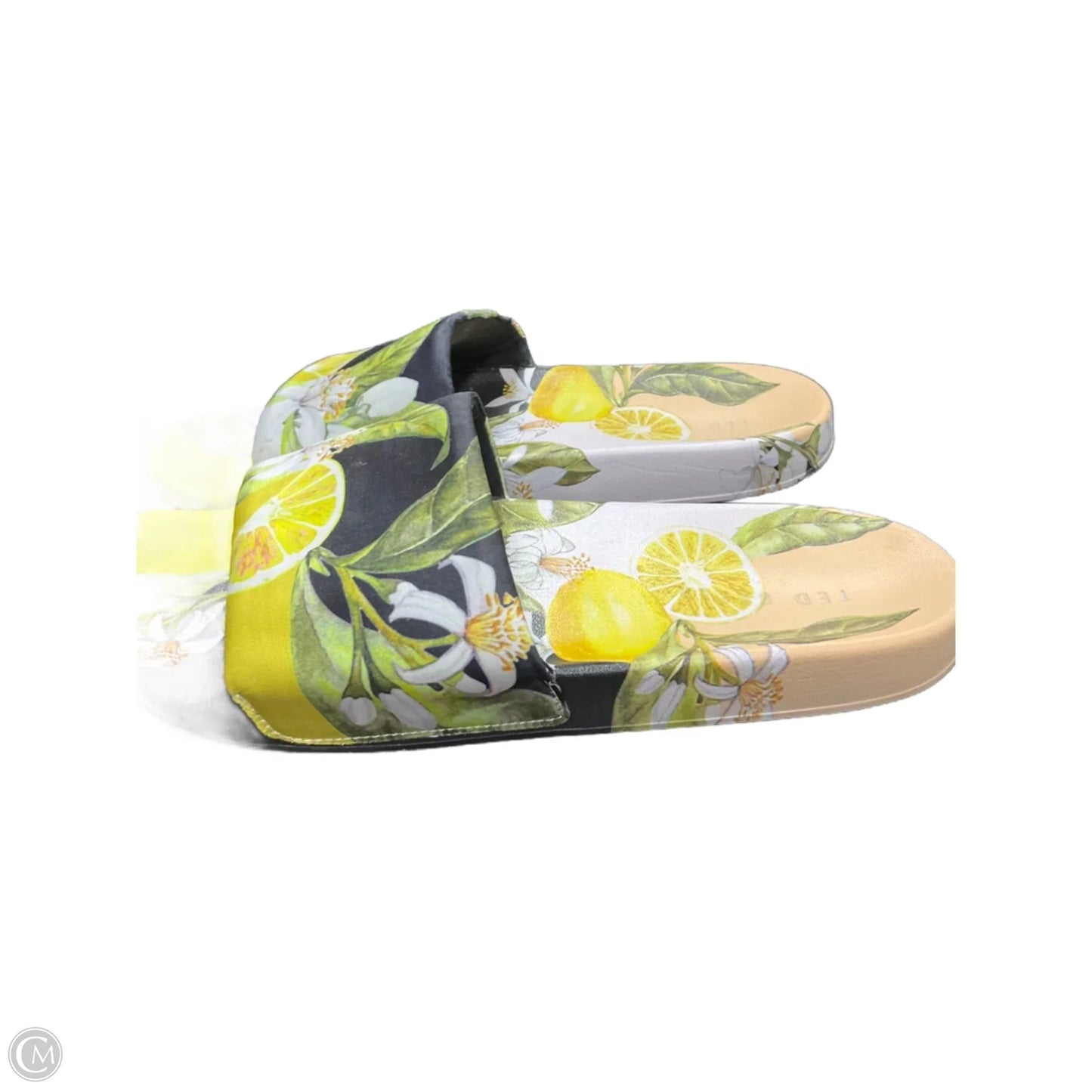 Sandals Flats By Ted Baker In Black & Yellow, Size: 9