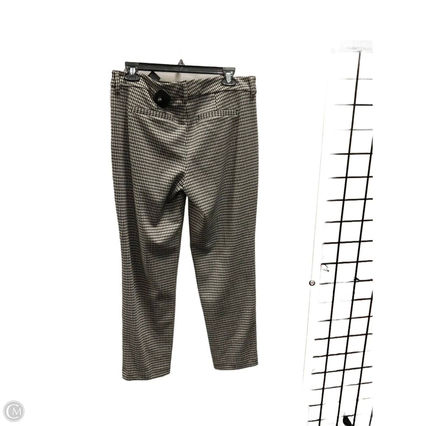Pants Dress By Liverpool In Black & Tan, Size: 6