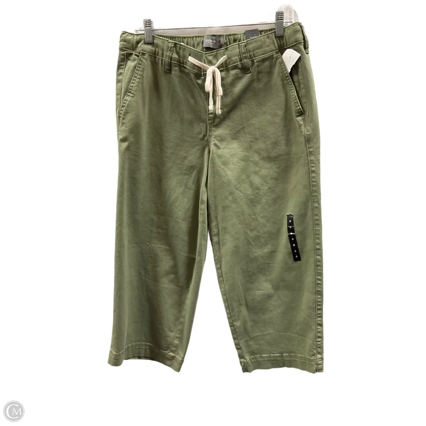 Capris By Torrid In Green, Size: L