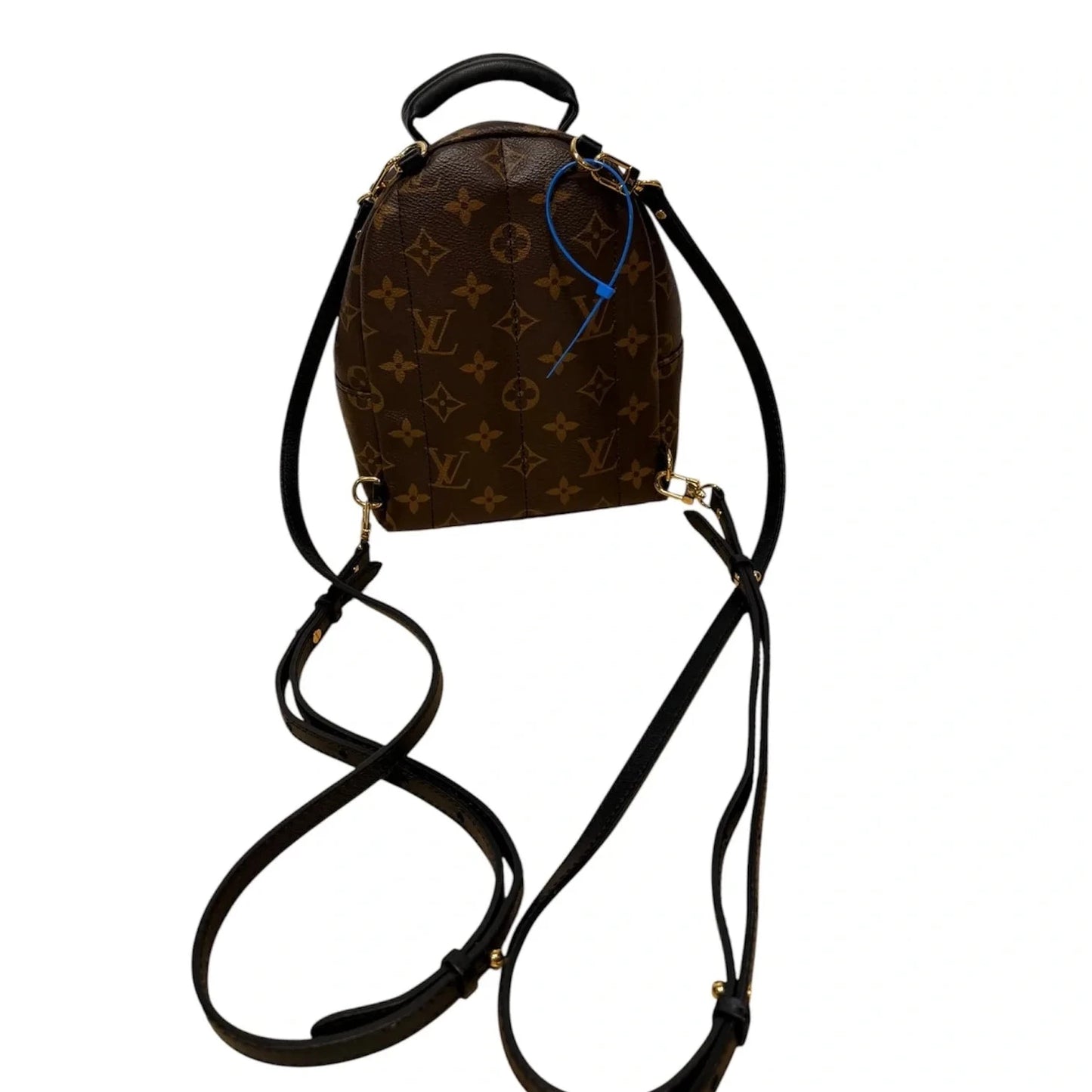 Backpack Luxury Designer By Louis Vuitton, Size: Small