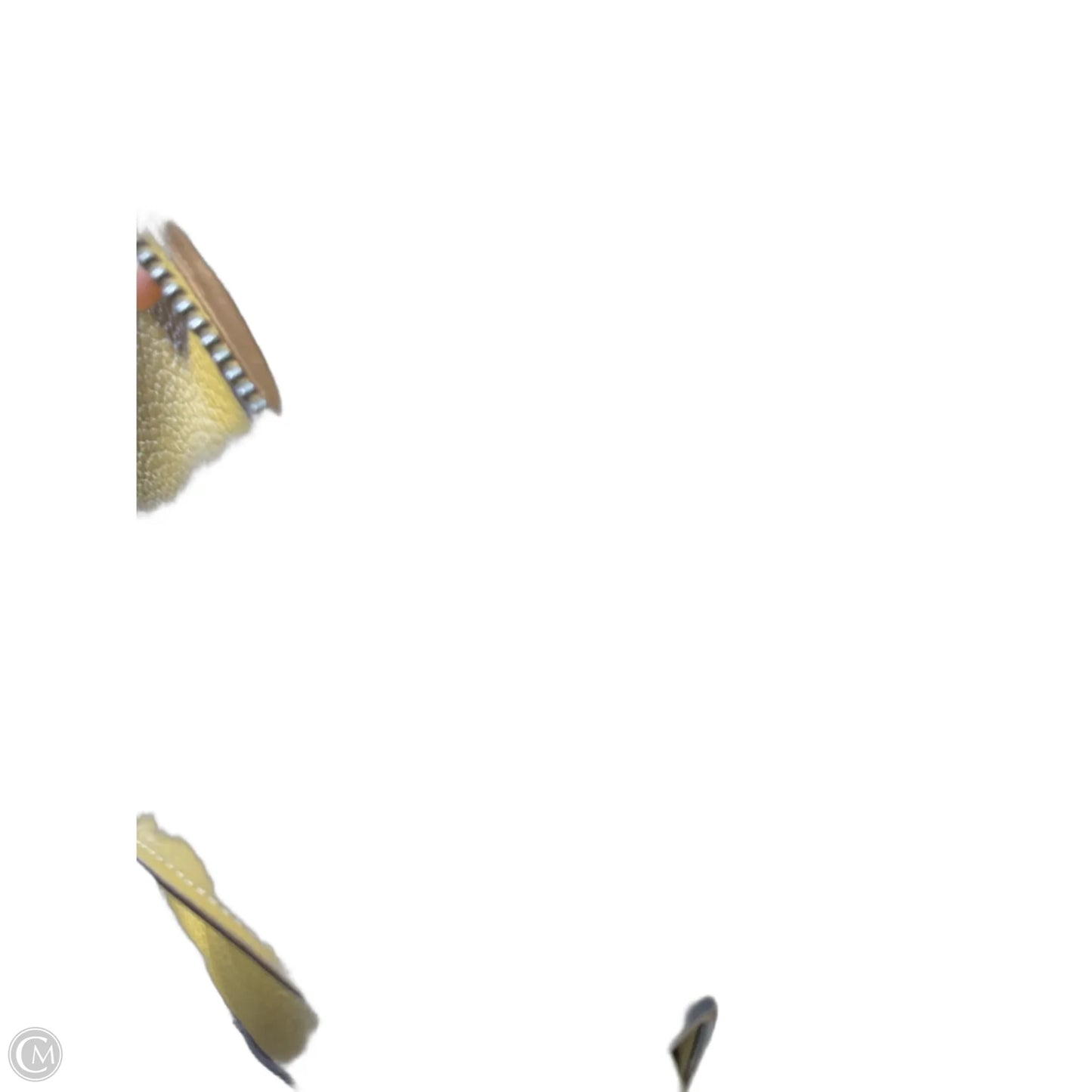 Crossbody Designer By Coach, Size: Large