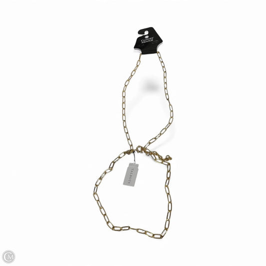 Necklace Chain By Talbots