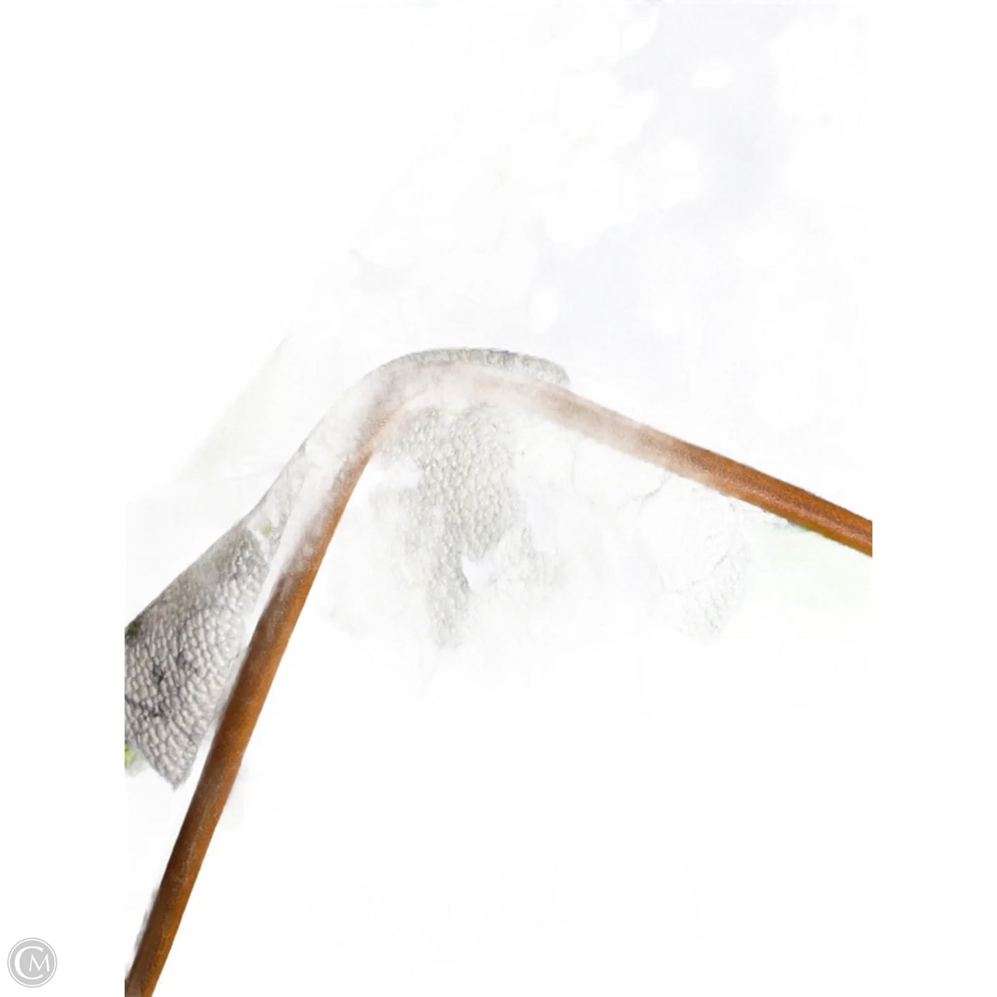 Handbag Designer By Dooney And Bourke, Size: Small