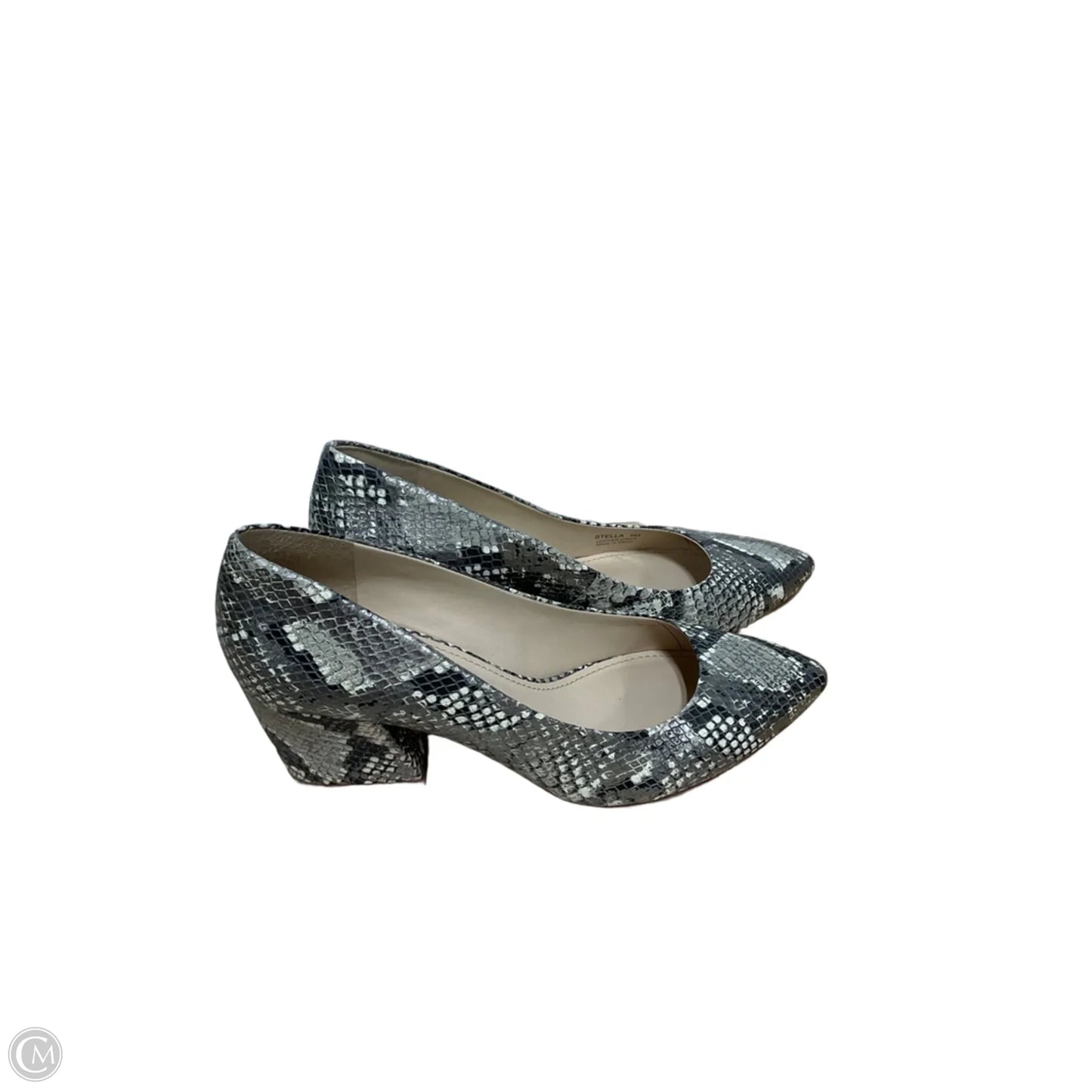 Shoes Heels Block By Botkier In Snakeskin Print, Size: 9