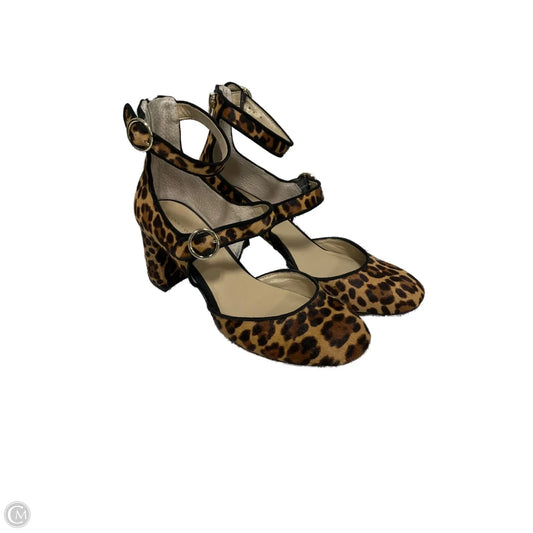 Shoes Heels Block By Ann Taylor In Animal Print, Size: 7.5
