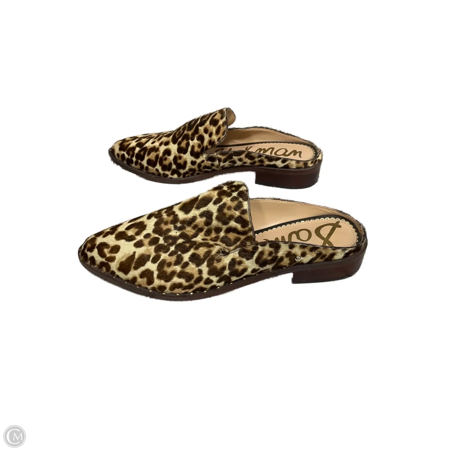 Shoes Flats By Sam Edelman In Animal Print, Size: 8.5