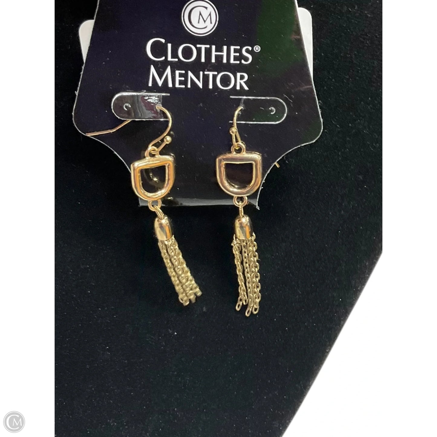 Earrings Dangle/drop By Clothes Mentor