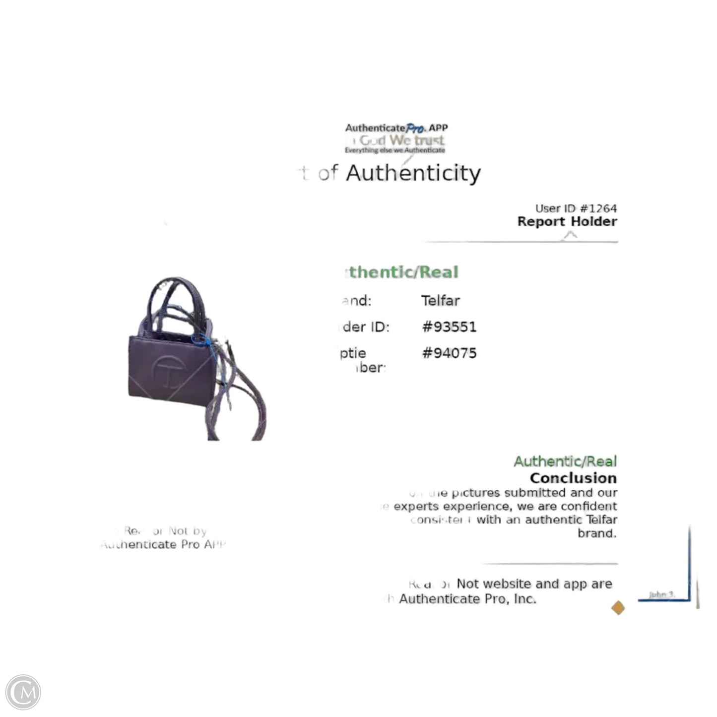 Handbag Luxury Designer By Telfar, Size: Small