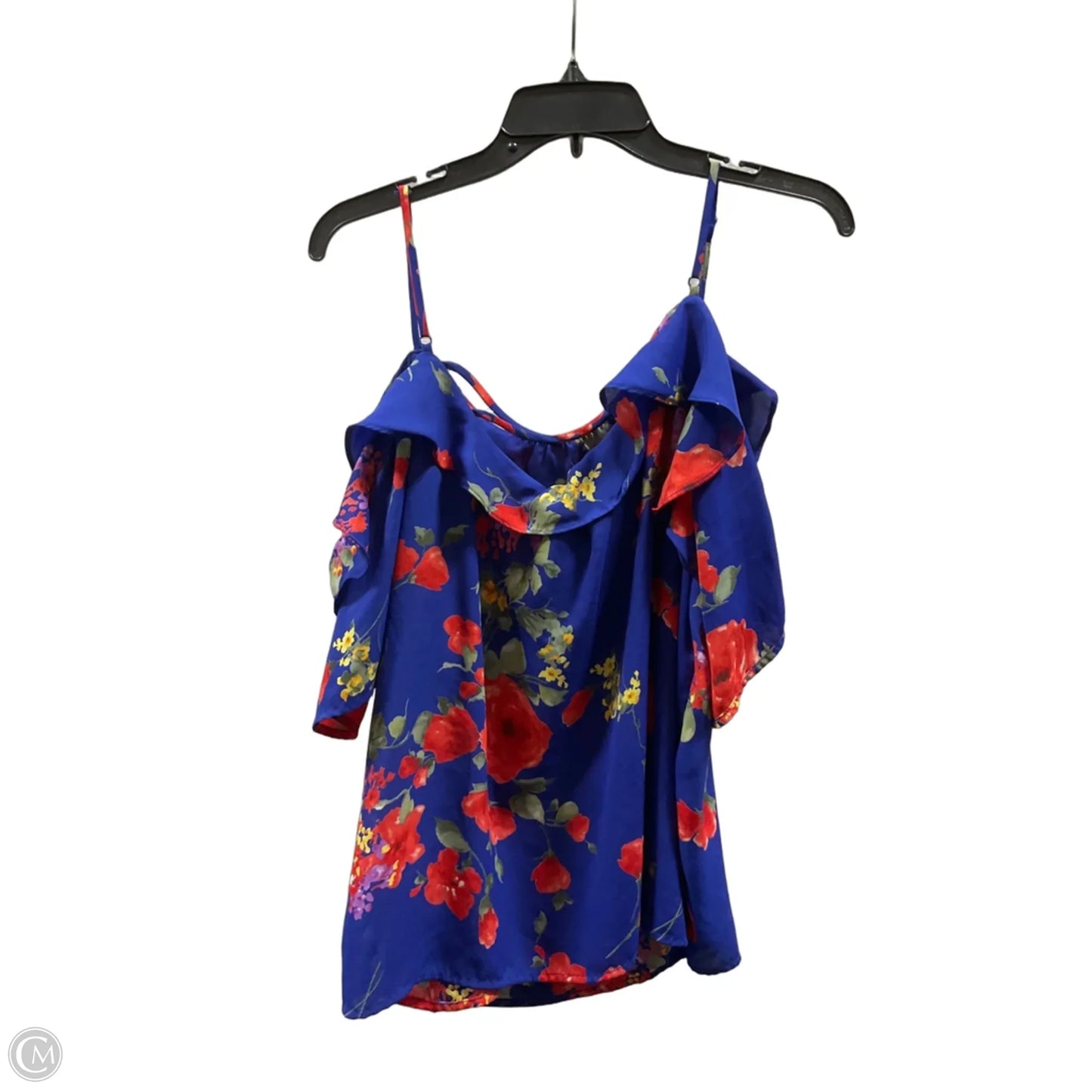 Top Sleeveless By Skies Are Blue In Floral Print, Size: Xl