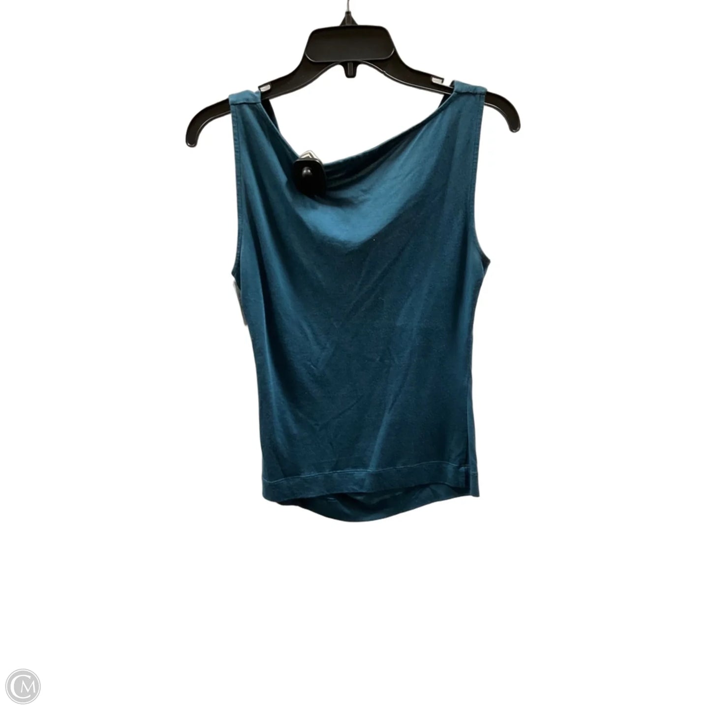 Top Sleeveless By Express In Blue, Size: M