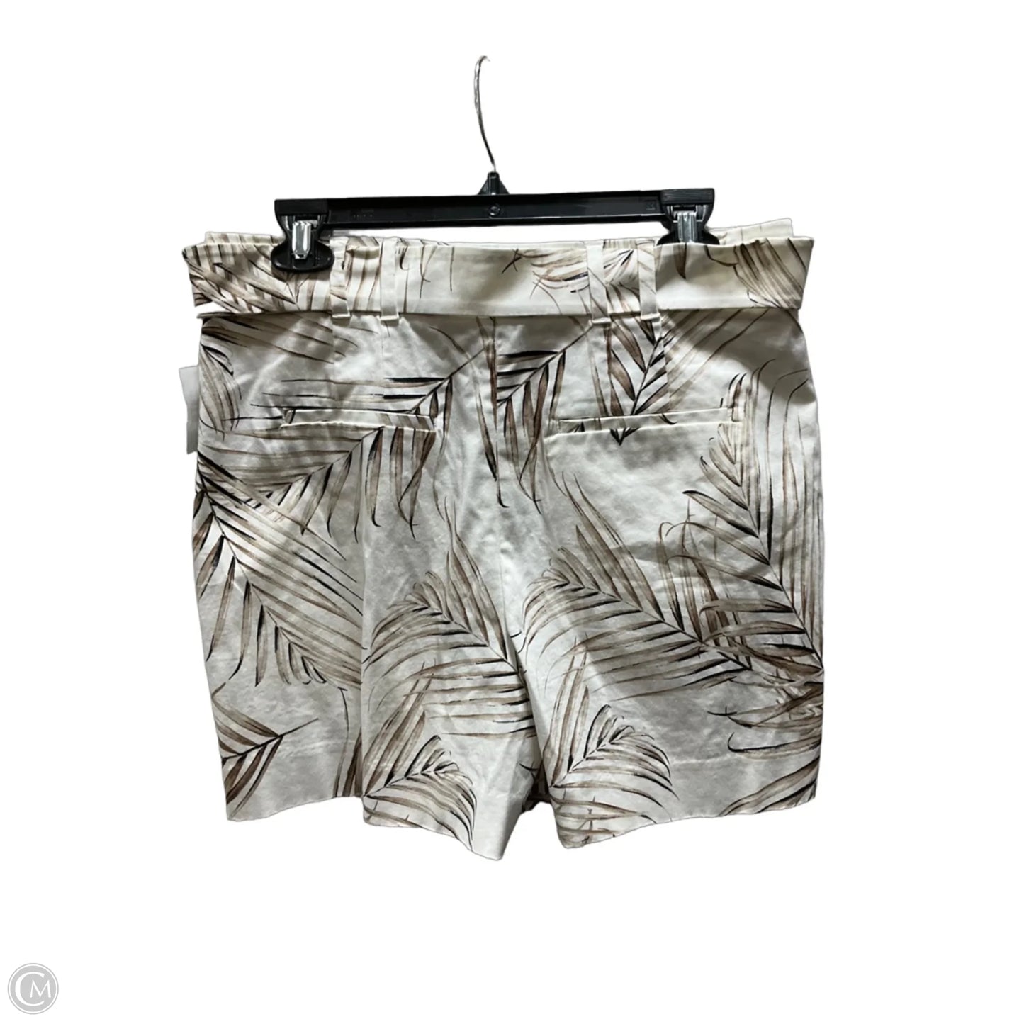 Shorts By White House Black Market In Cream & Tan, Size: 10